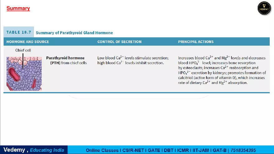 Endocrinology - 2 Content - Page 28
