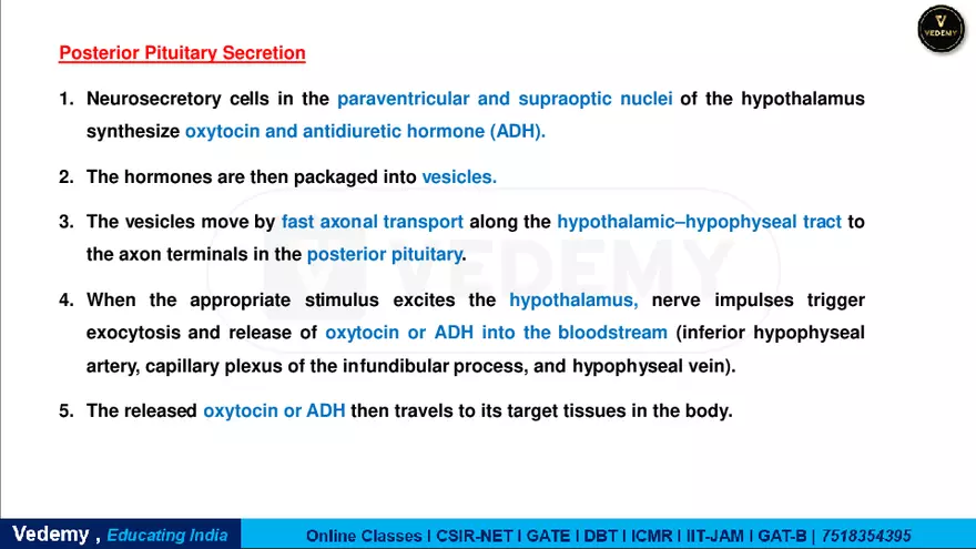 Endocrinology - 2 Content - Page 46