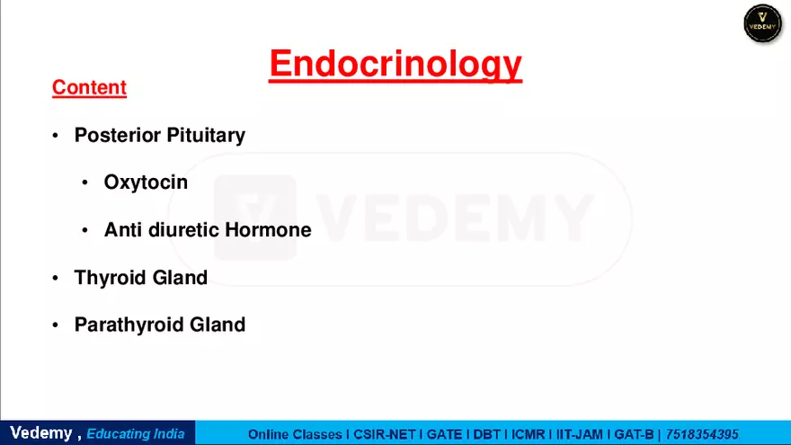 Endocrinology - 2 Content - Page 2