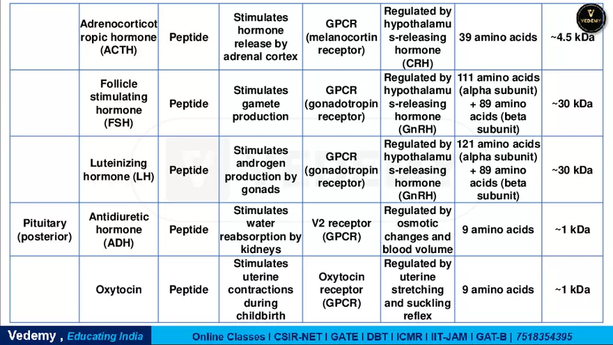 Endocrinology - 2 Content - Page 3