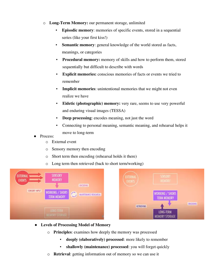 AP Psychology Chapter 7 Cognition - Page 2