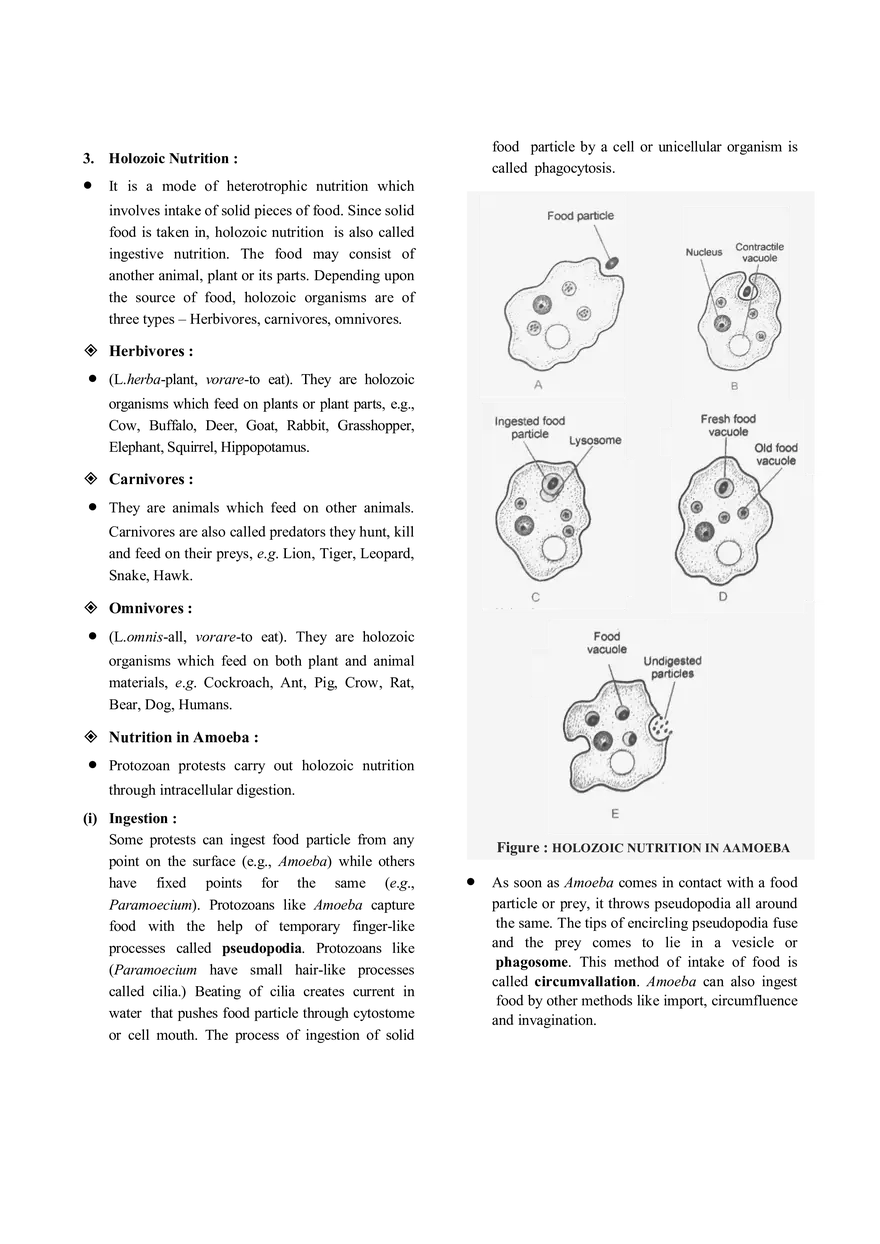 Nutrition Notes - Page 2