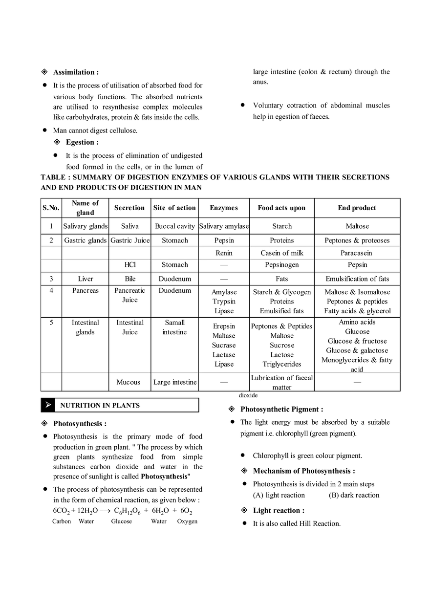Nutrition Notes - Page 4
