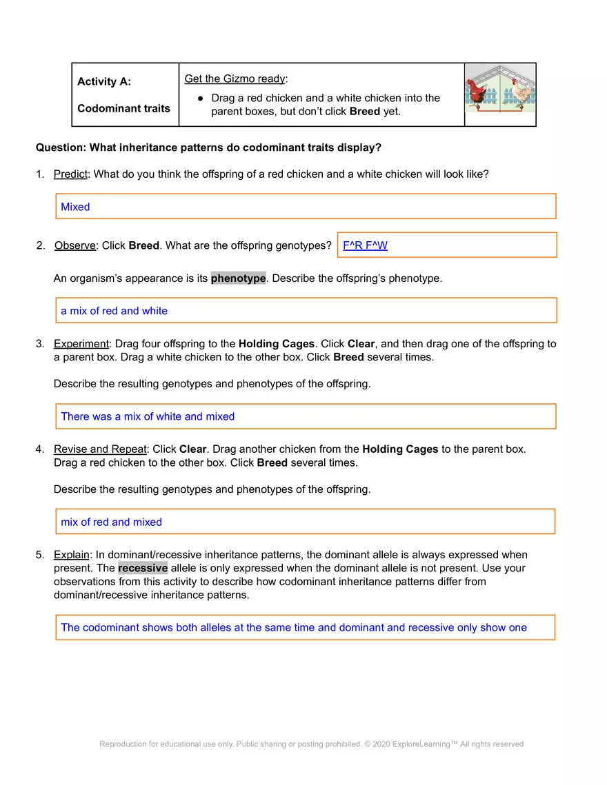 Gizmo Chicken Genetics - Page 2