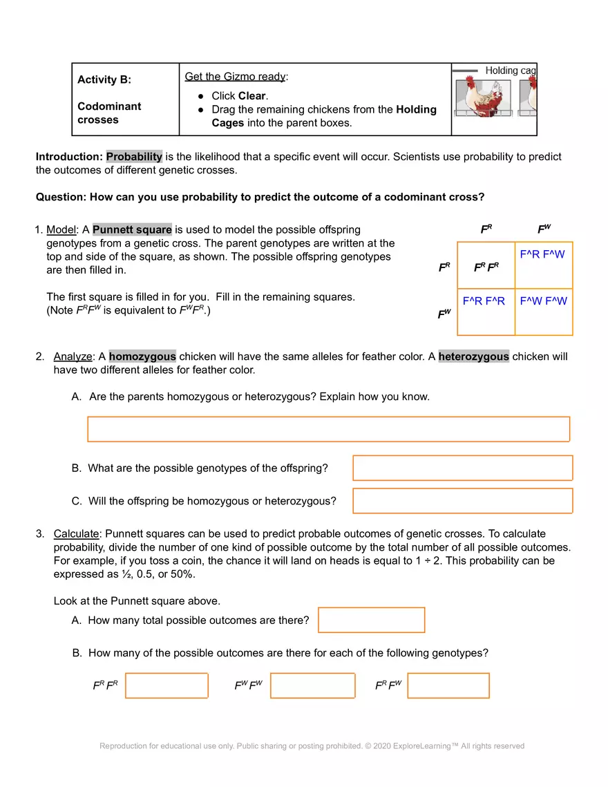 Gizmo Chicken Genetics - Page 3