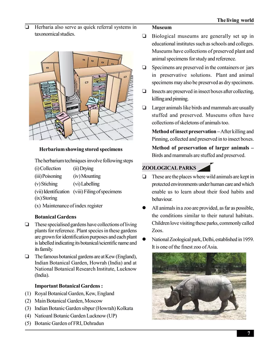 The Living World - Page 7