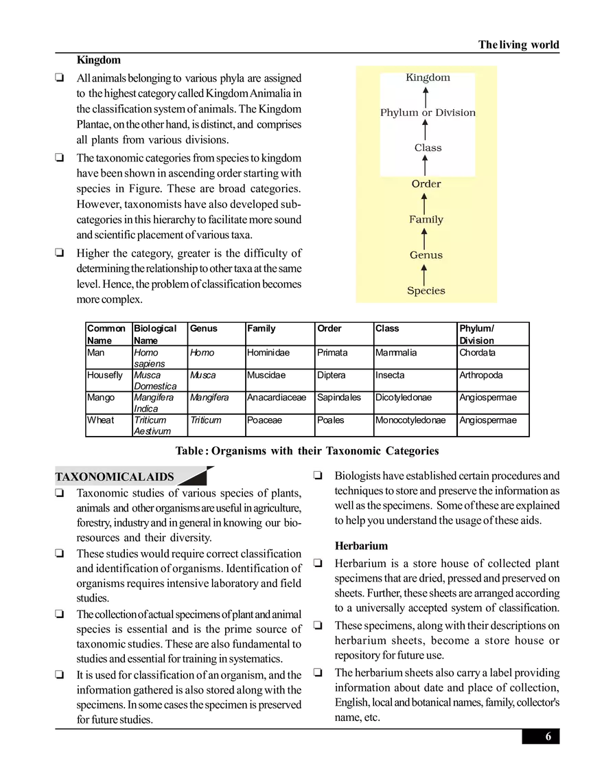 The Living World - Page 6