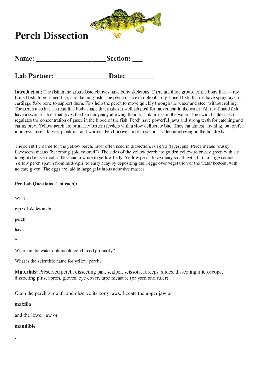 Perch Dissection - Page 1