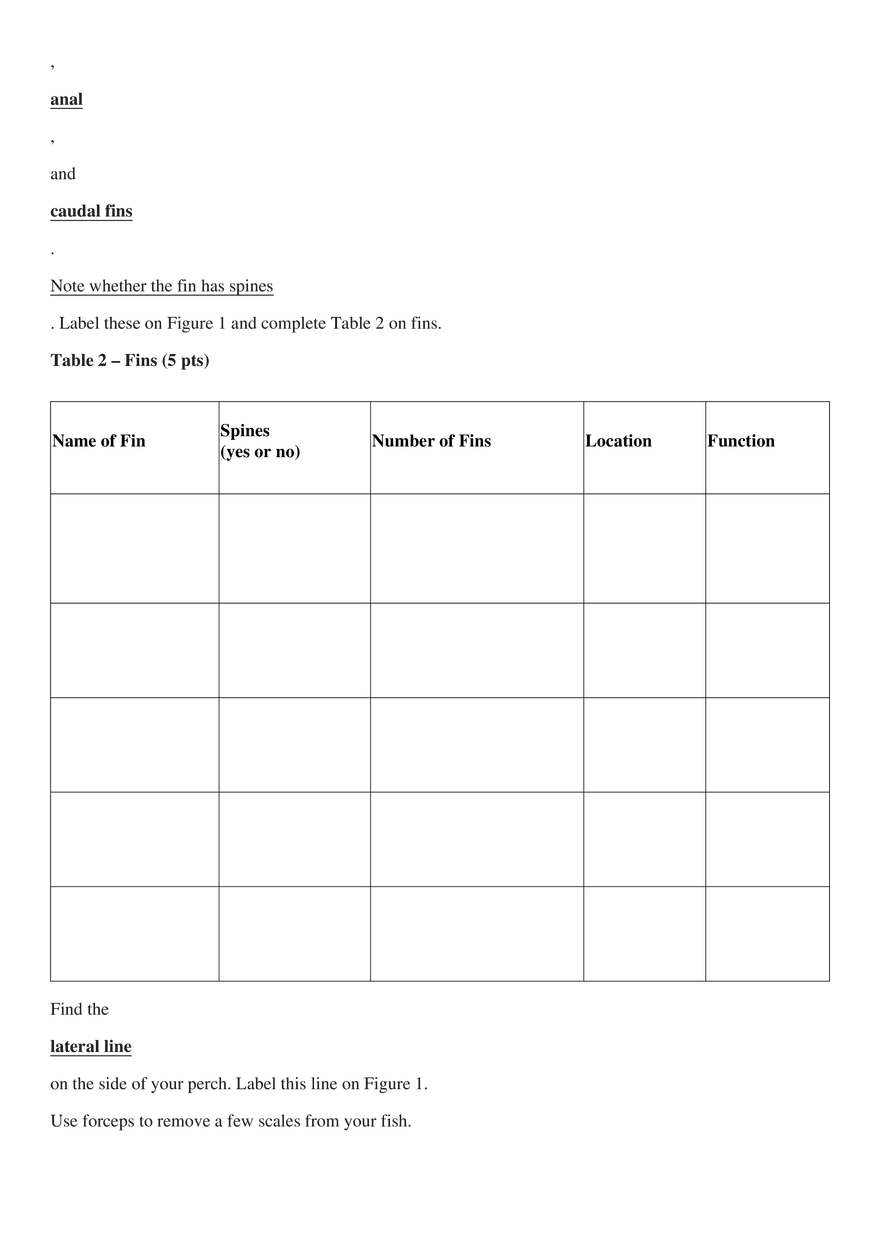 Perch Dissection - Page 4