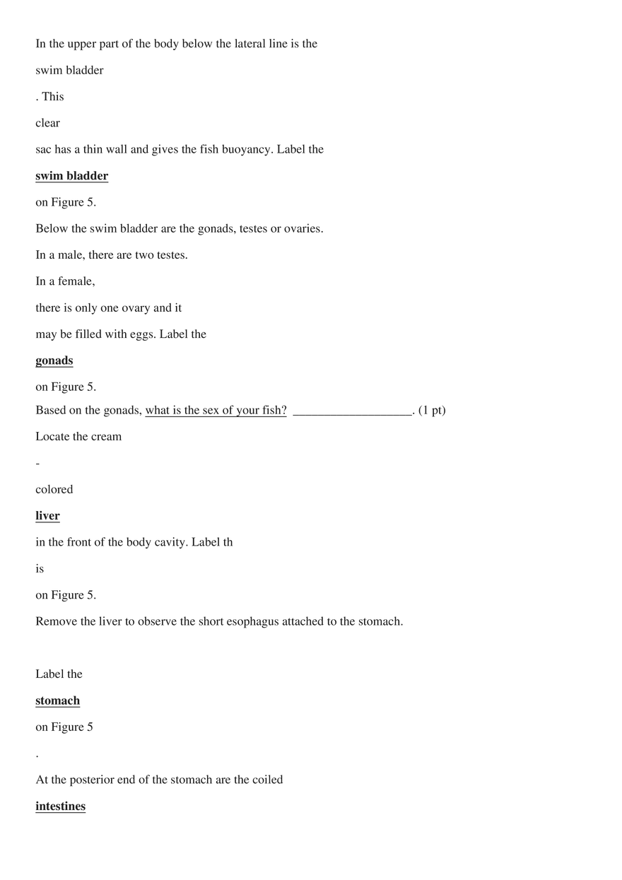 Perch Dissection - Page 6