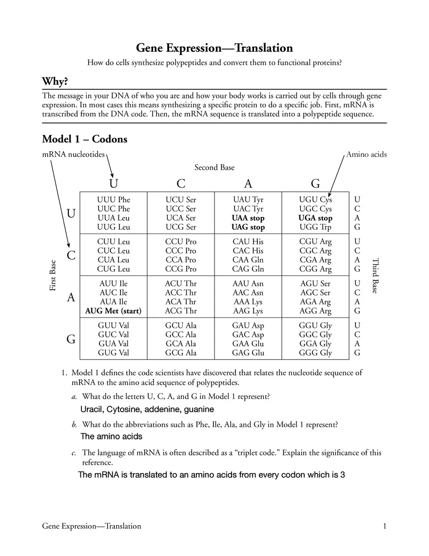 Gene Expression - Translation - Page 1