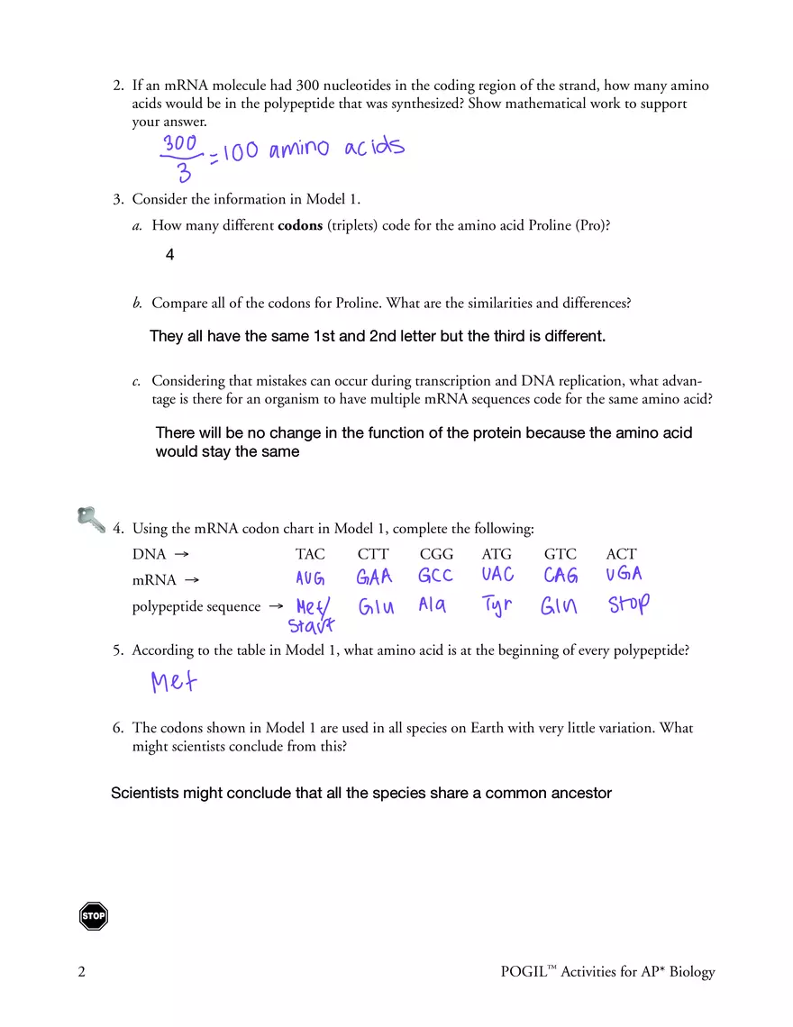 Gene Expression - Translation - Page 2