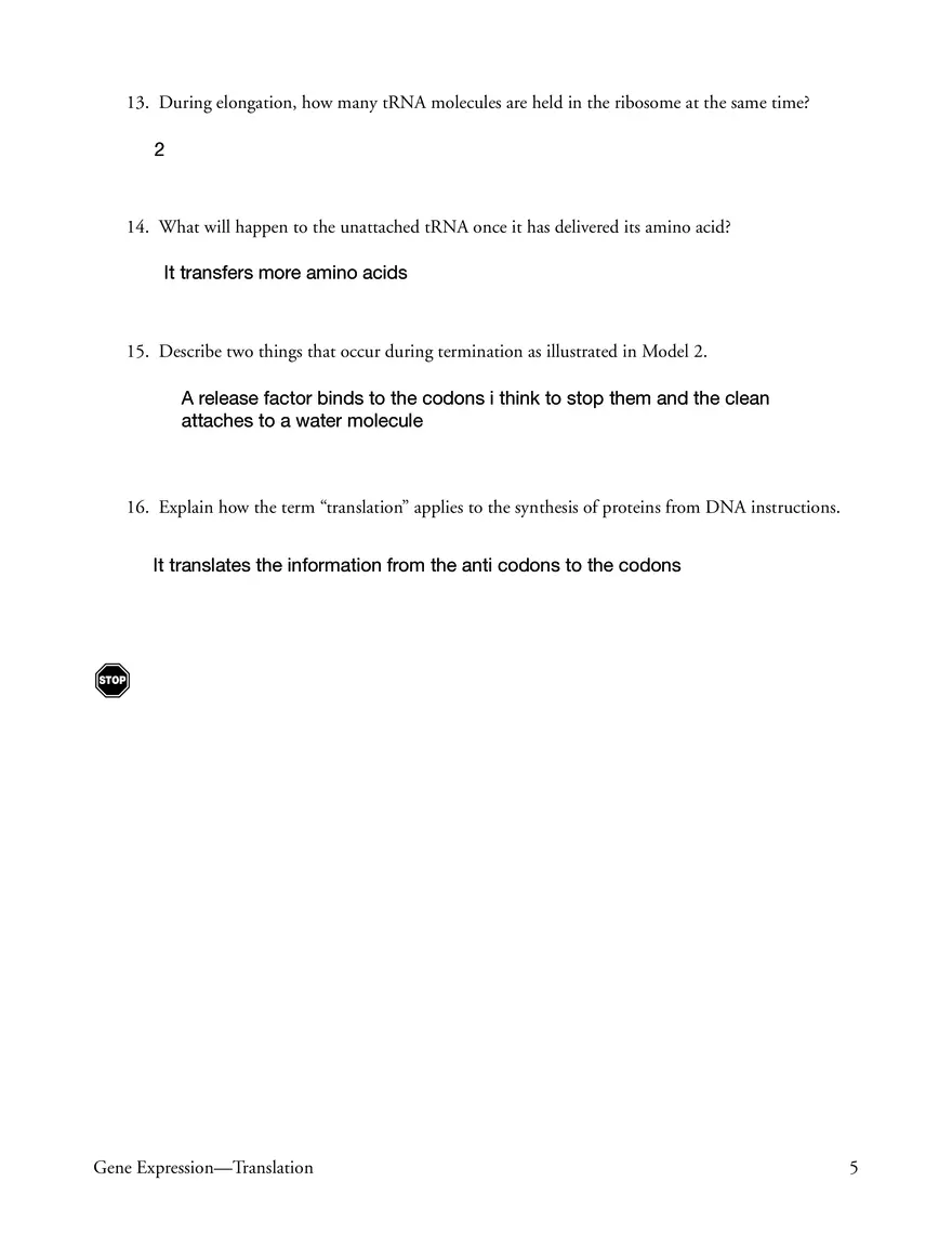 Gene Expression - Translation - Page 5