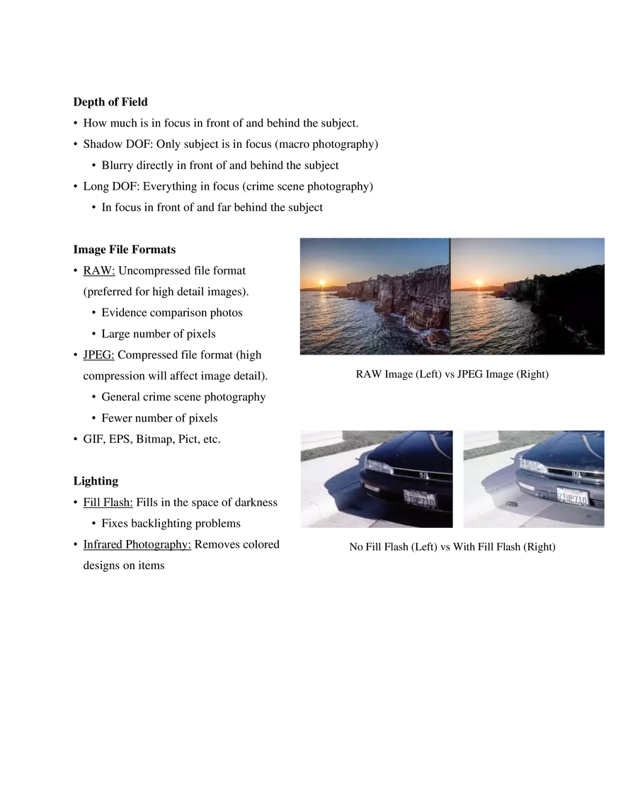 3. Forensic Photography - Page 3