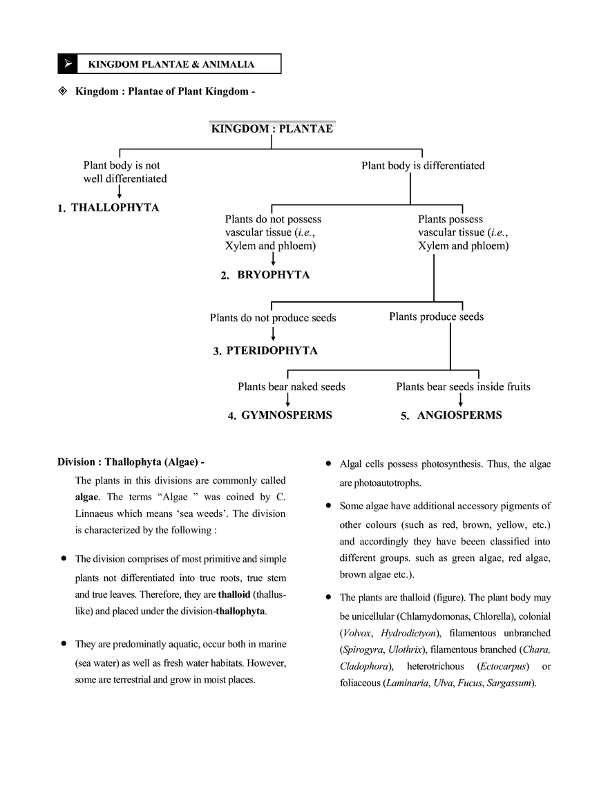 Chemistry in Everyday Life - Page 9