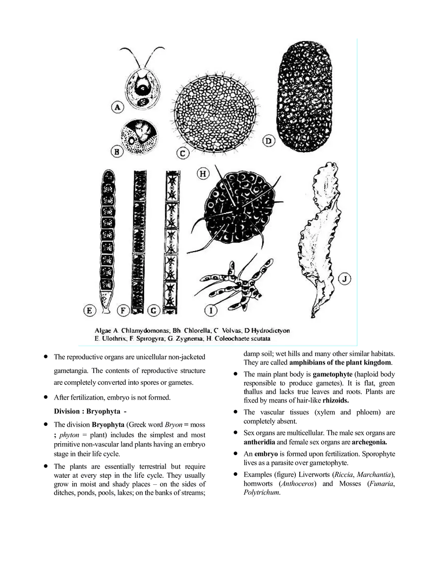 Chemistry in Everyday Life - Page 10