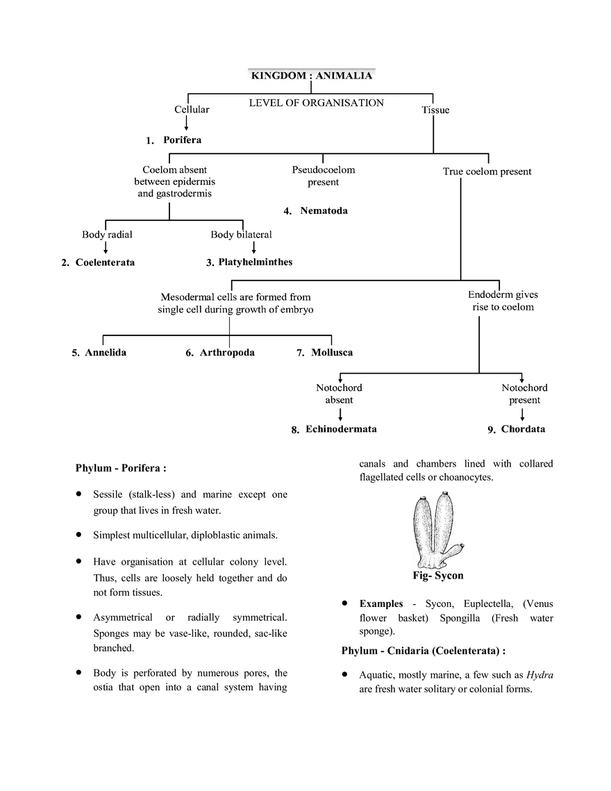 Chemistry in Everyday Life - Page 13