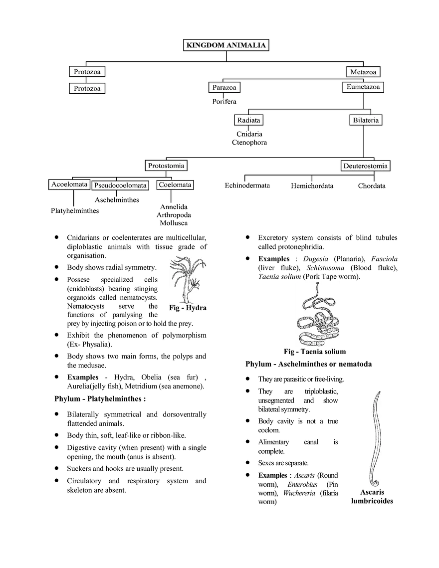 Chemistry in Everyday Life - Page 14