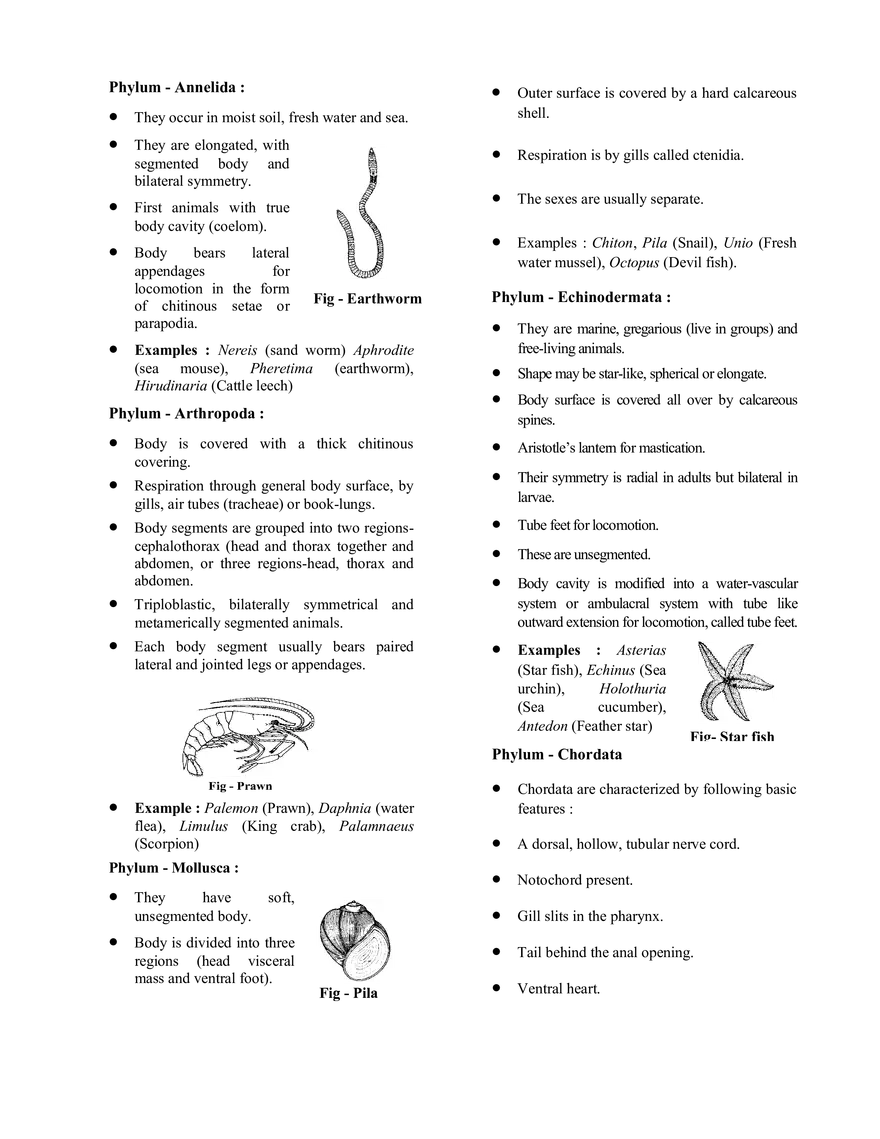 Chemistry in Everyday Life - Page 3
