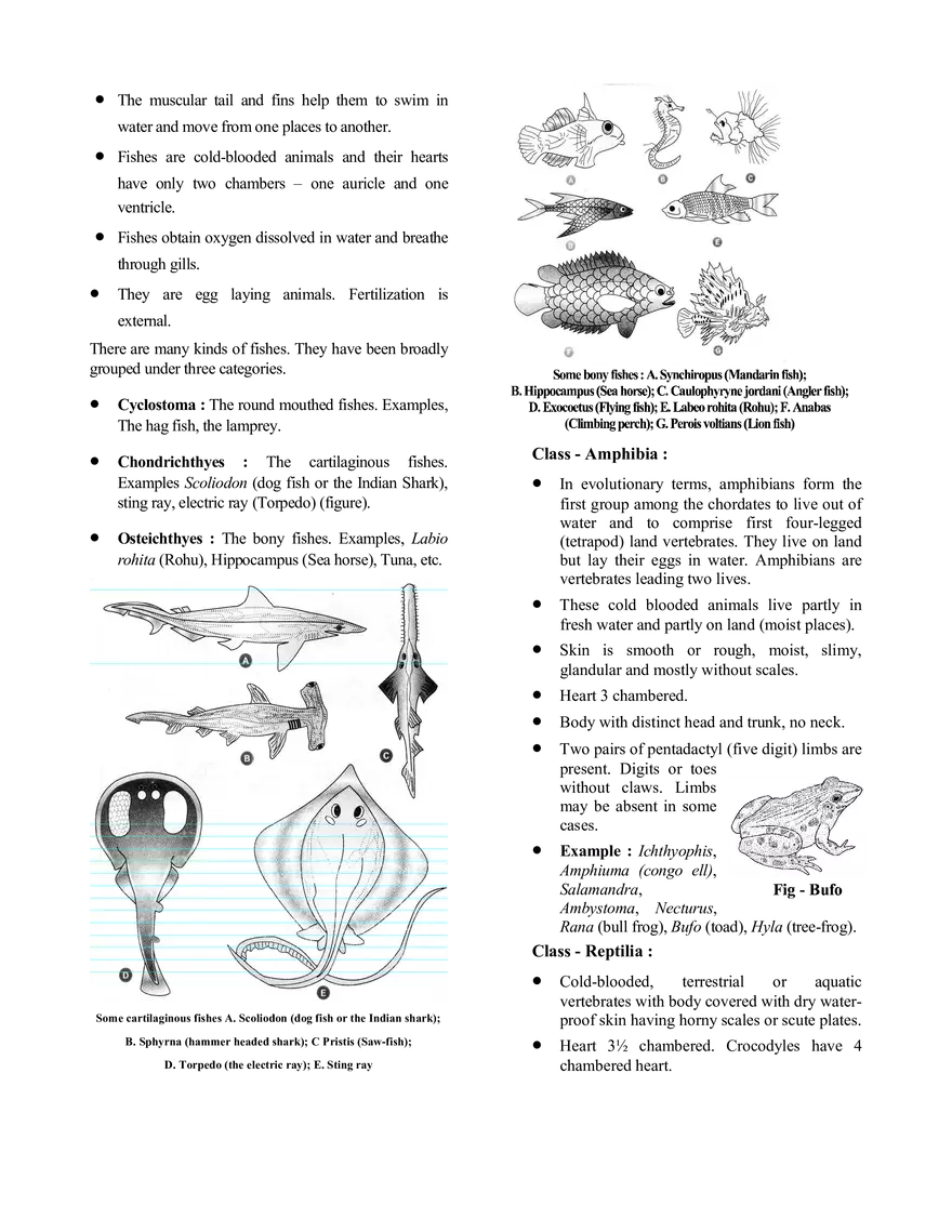 Chemistry in Everyday Life - Page 5