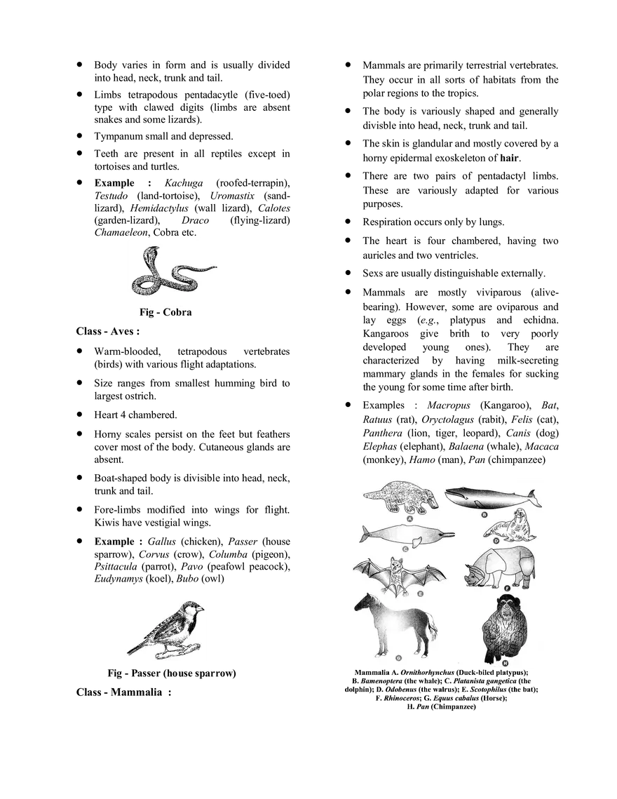 Chemistry in Everyday Life - Page 6