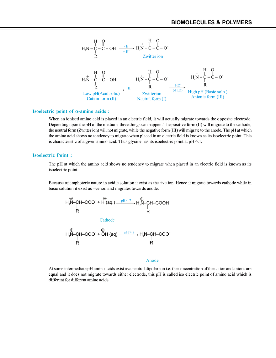 Biomolecules & Polymers Amino Acids - Page 4