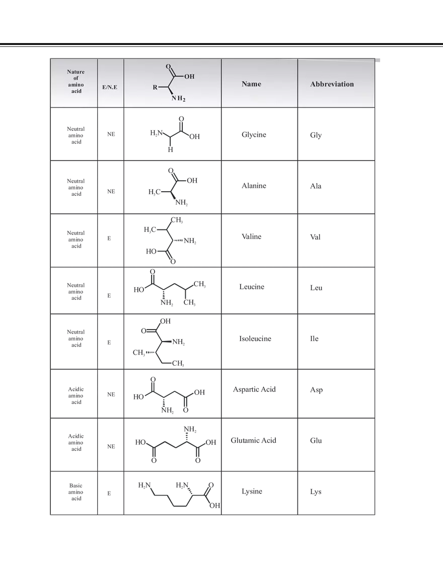Biomolecules & Polymers Amino Acids - Page 5