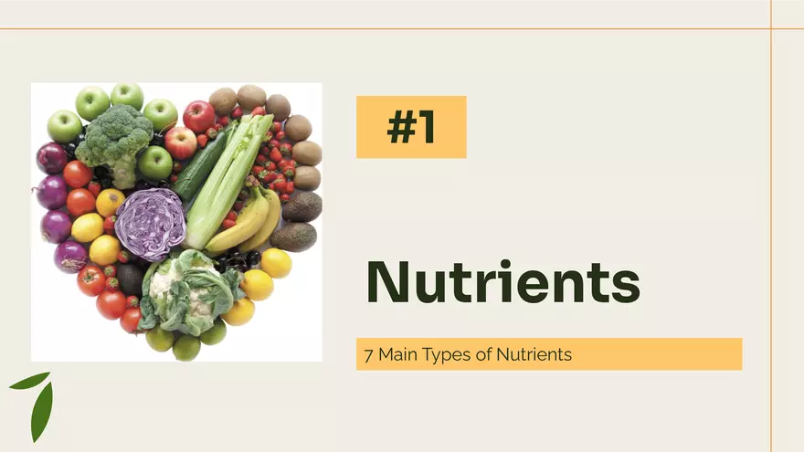 Importance of Nutrition and Your Diet - Page 13