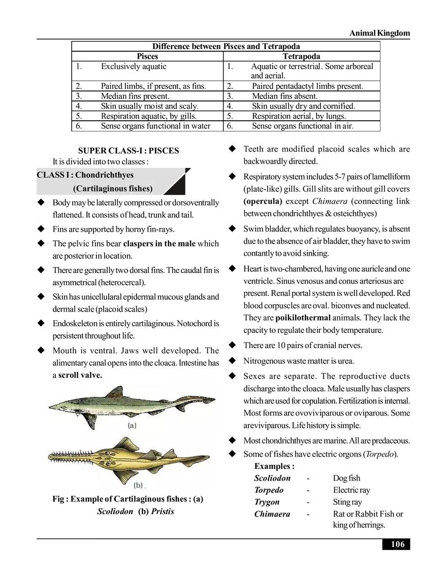 Animal Kingdom - Page 8