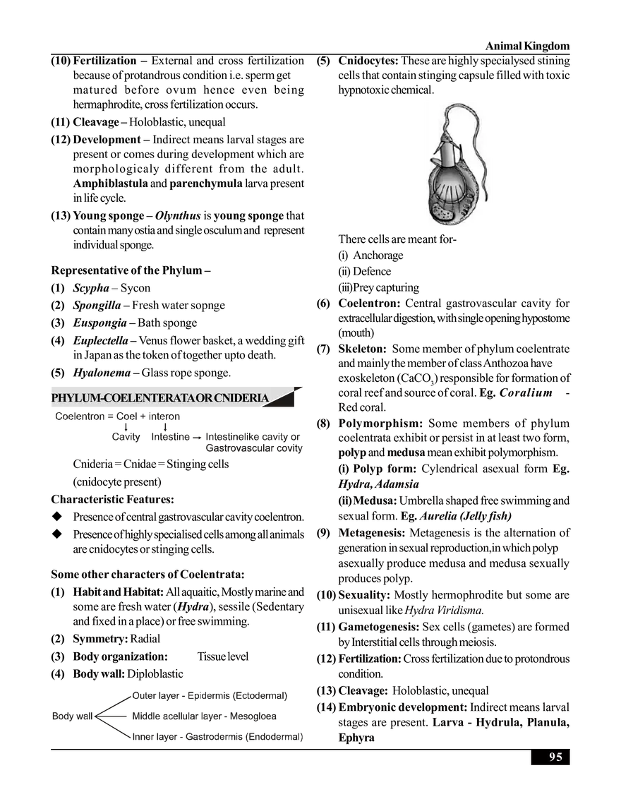 Animal Kingdom - Page 17