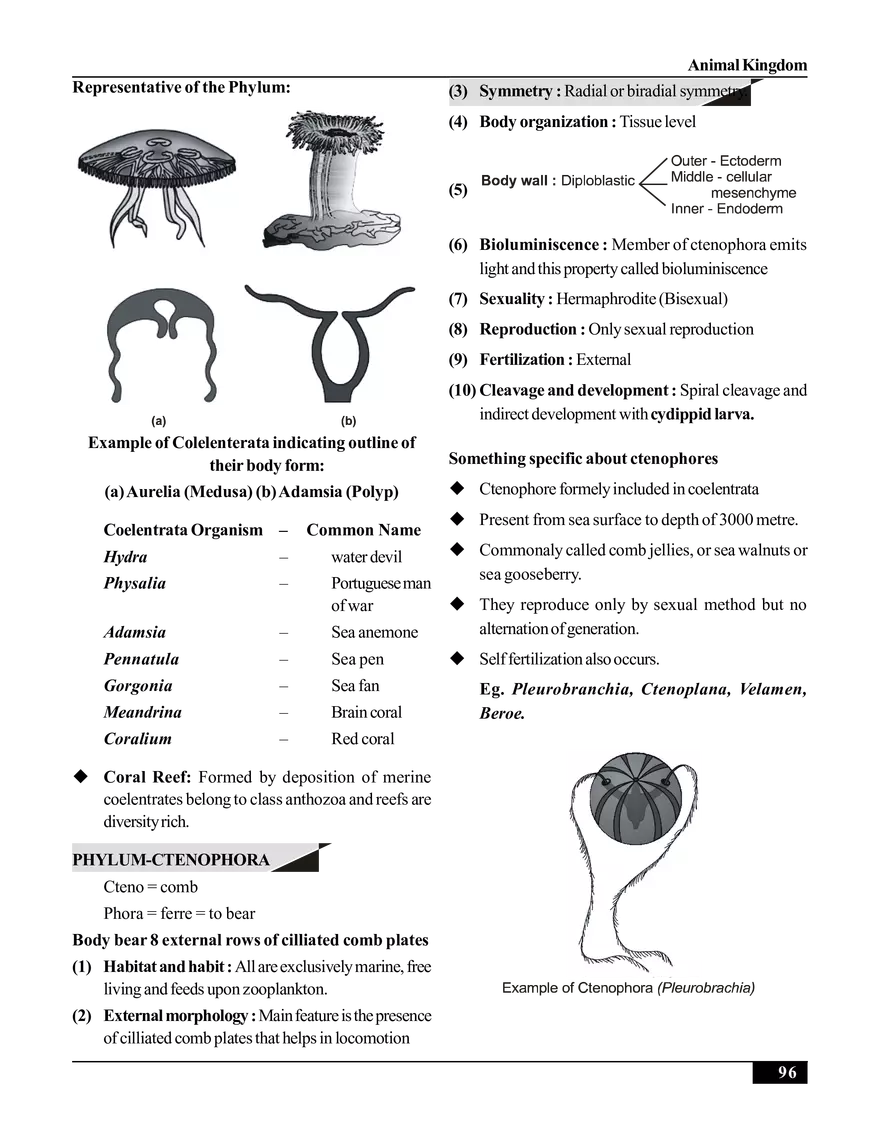 Animal Kingdom - Page 18