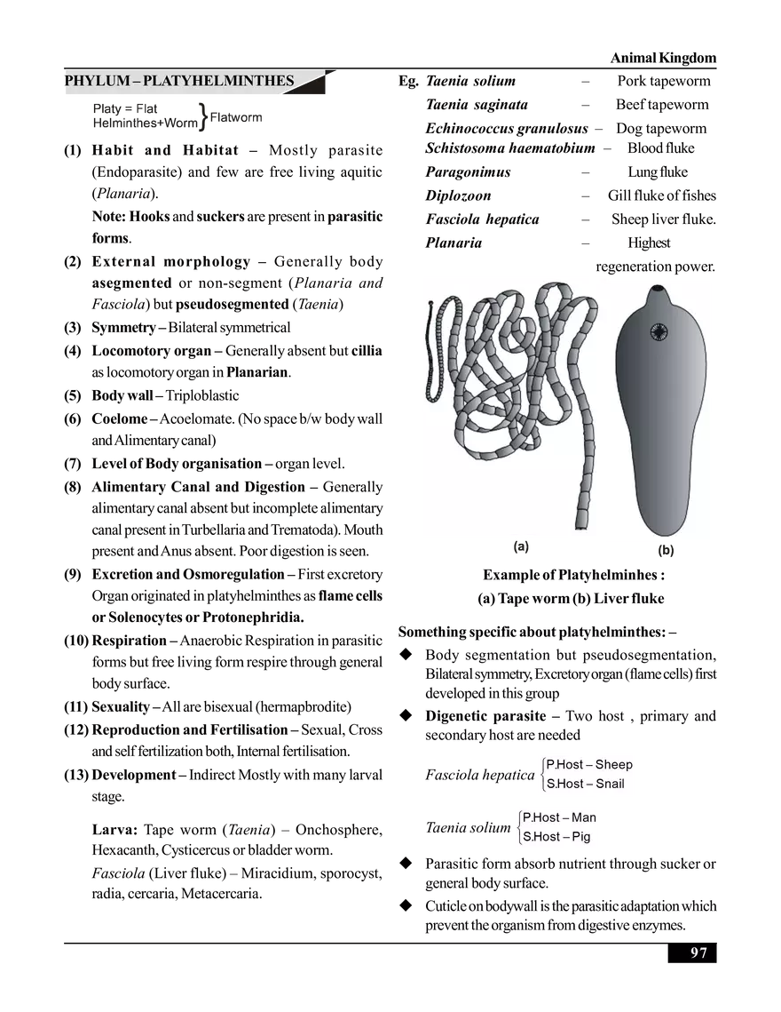 Animal Kingdom - Page 19