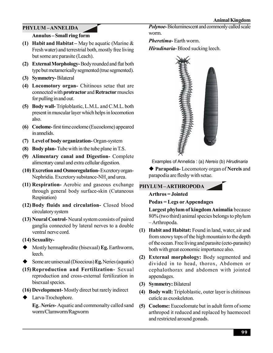 Animal Kingdom - Page 21