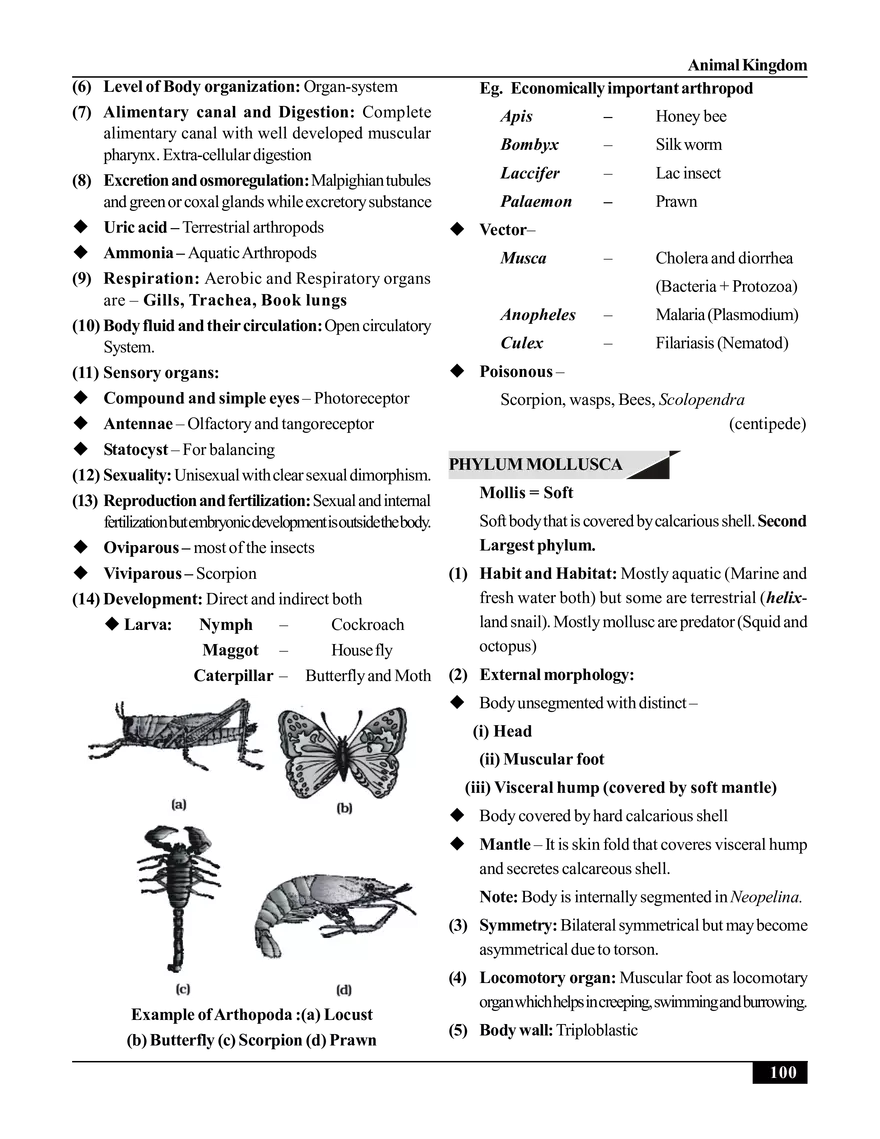 Animal Kingdom - Page 22