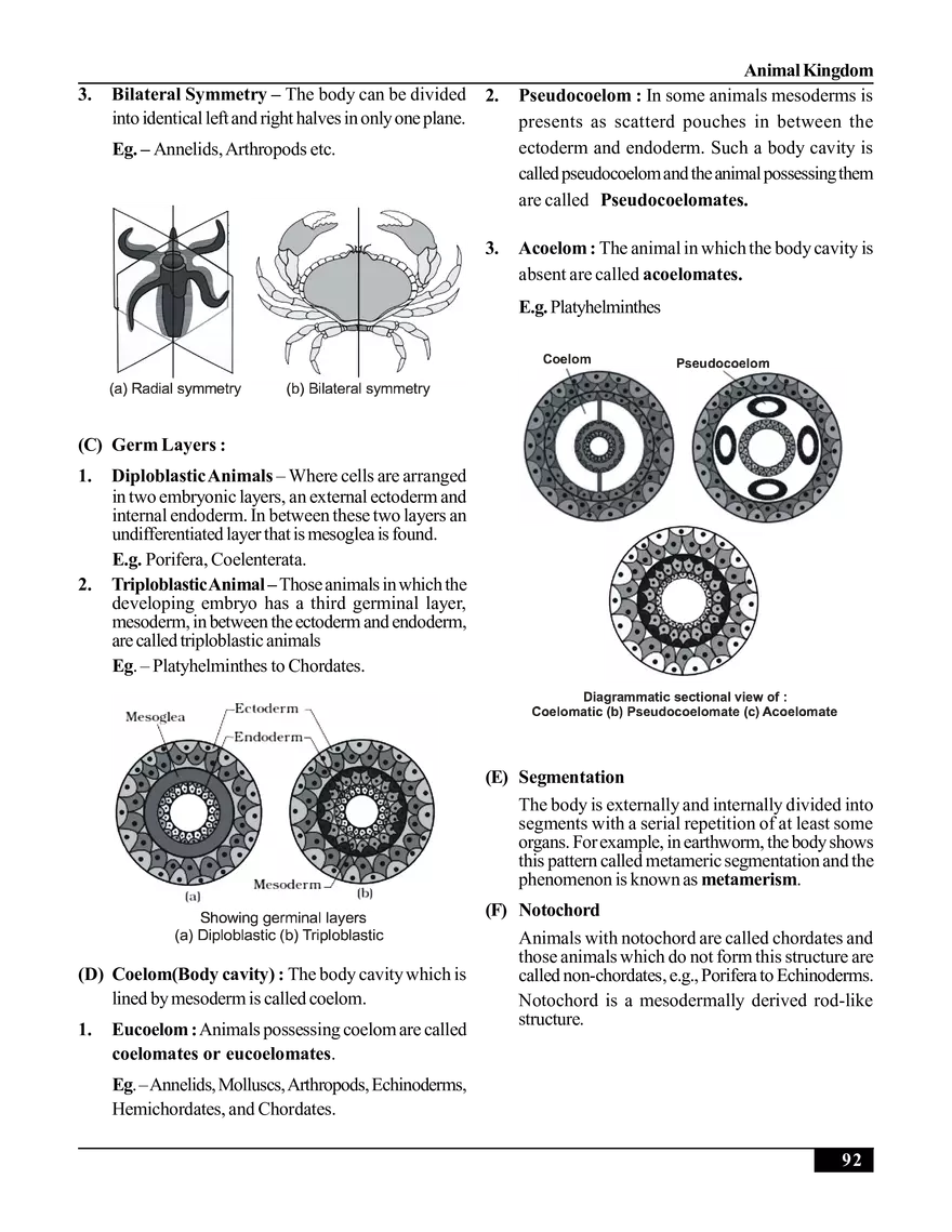 Animal Kingdom - Page 2