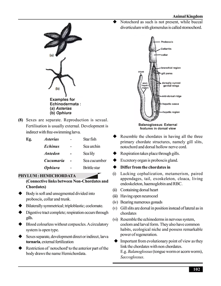 Animal Kingdom - Page 4