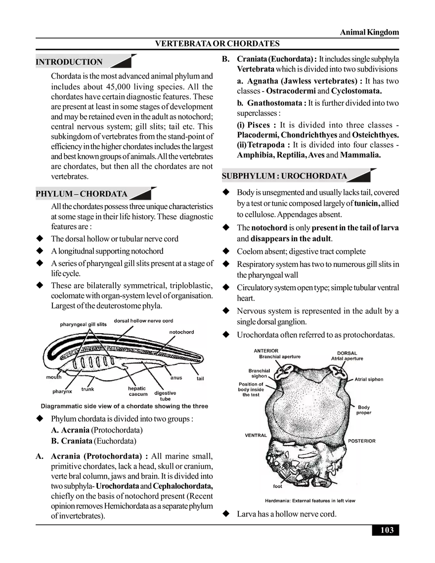 Animal Kingdom - Page 5