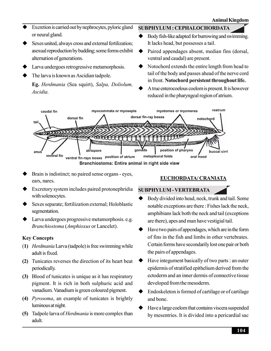 Animal Kingdom - Page 6