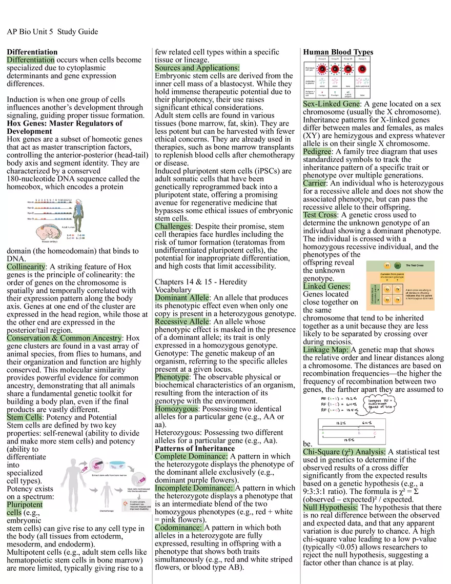 AP Bio Unit 5 Study Guide - Page 2
