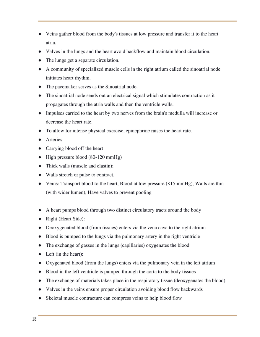 SL Biology Study Guide - Page 10