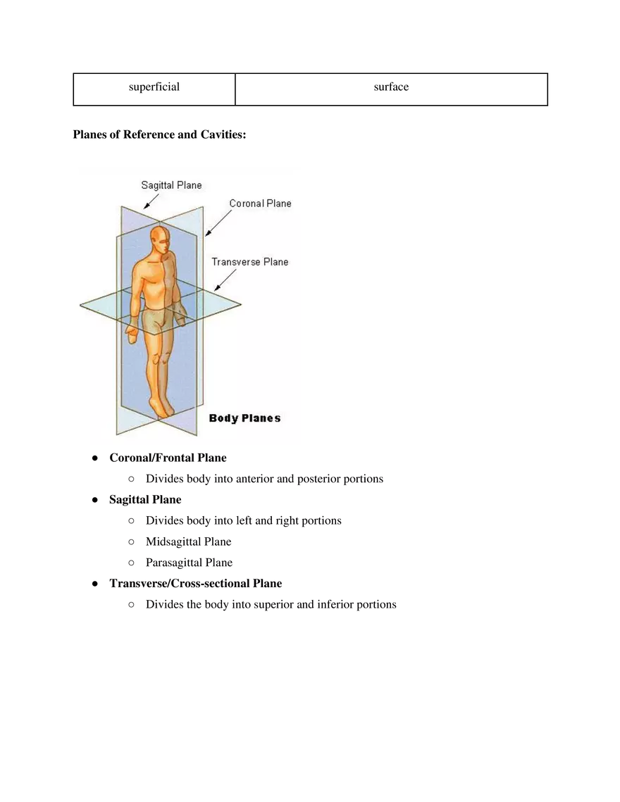 Medical Terminology Unit 1 The Basics - Page 3