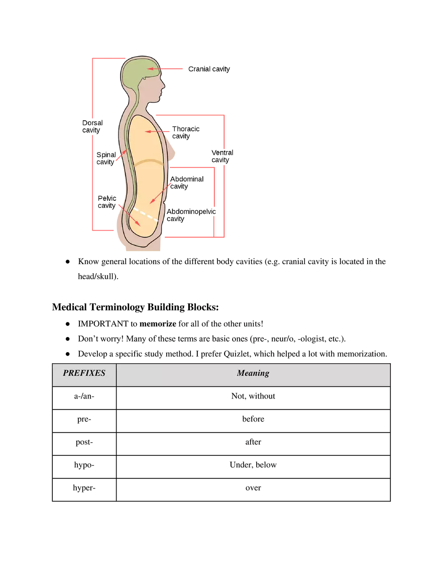 Medical Terminology Unit 1 The Basics - Page 4