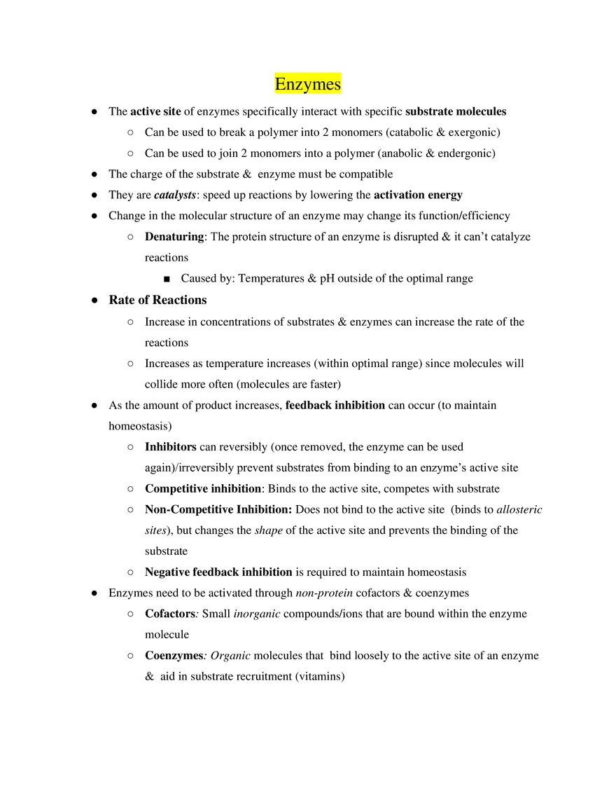 AP Biology Enzymes - Page 1