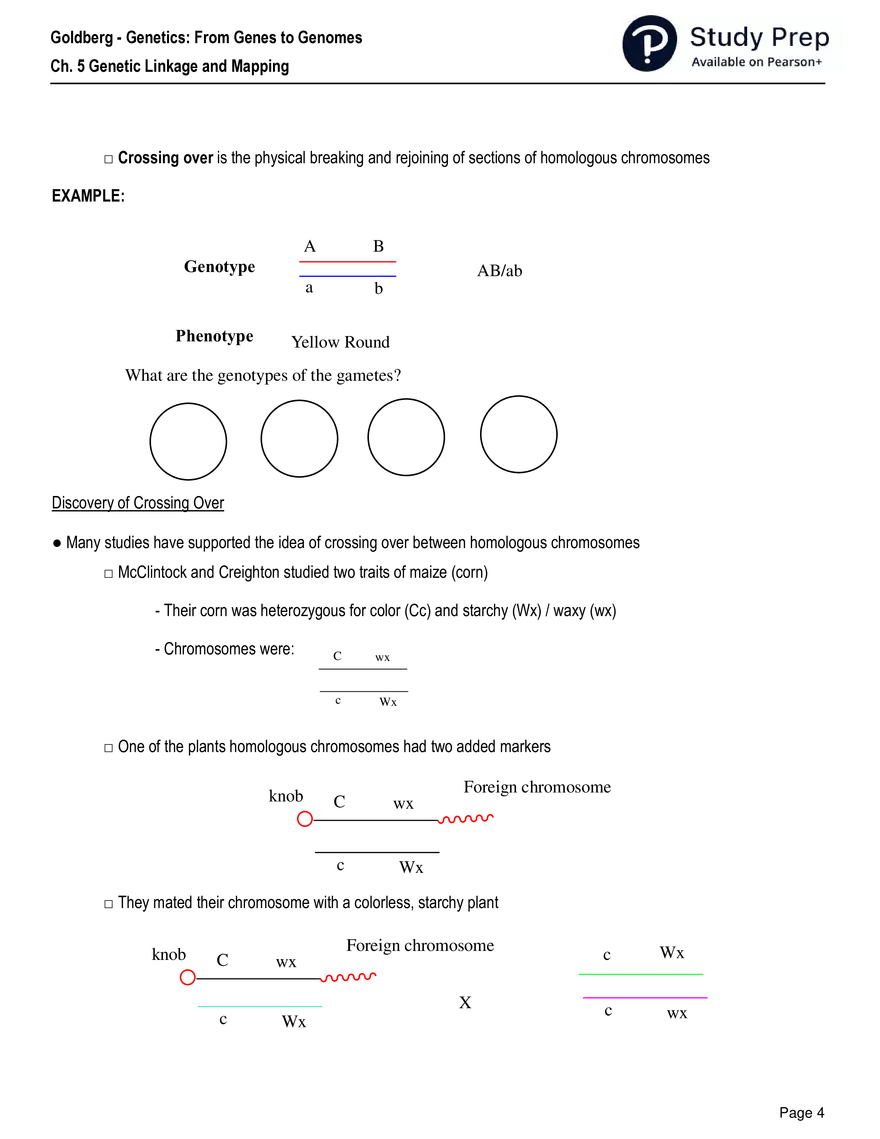 Ch. 5 Genetic Linkage and Mapping Worksheet - Page 21