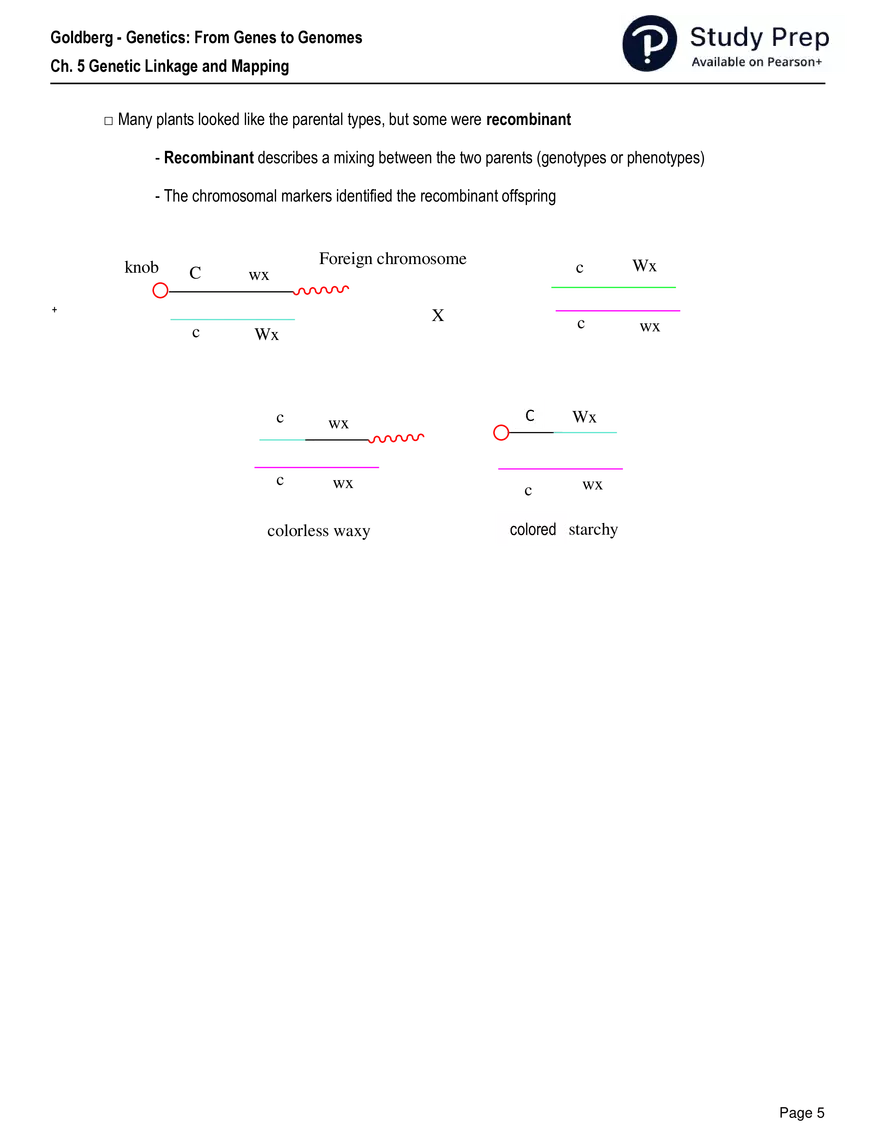 Ch. 5 Genetic Linkage and Mapping Worksheet - Page 22