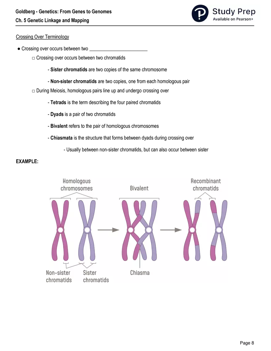 Ch. 5 Genetic Linkage and Mapping Worksheet - Page 25