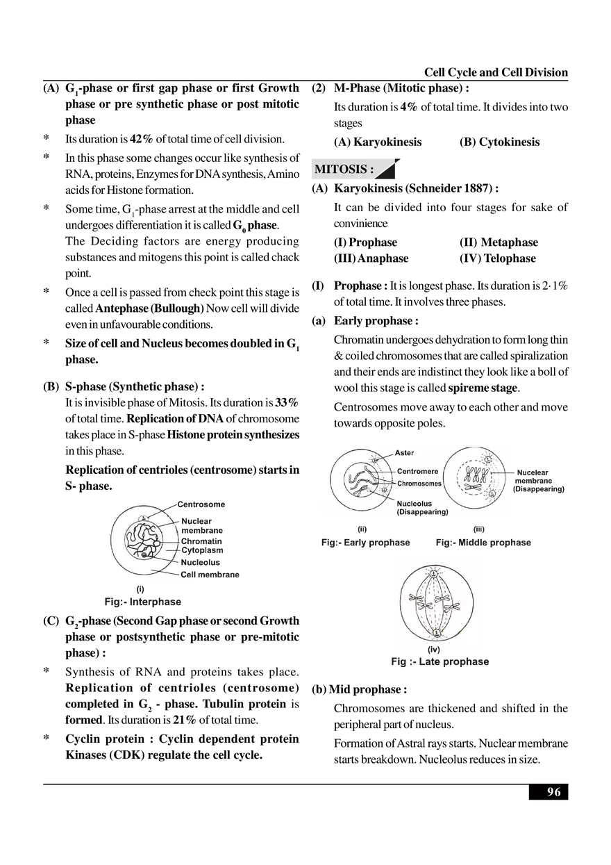 Cell Cycle and Cell Division Notes - Page 2