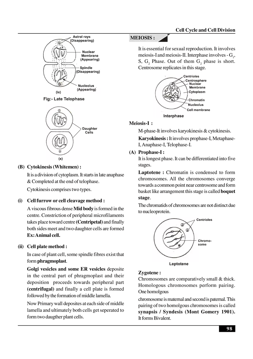Cell Cycle and Cell Division Notes - Page 4