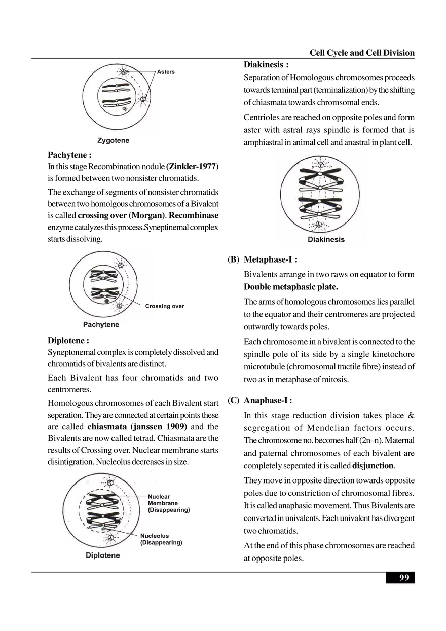 Cell Cycle and Cell Division Notes - Page 5