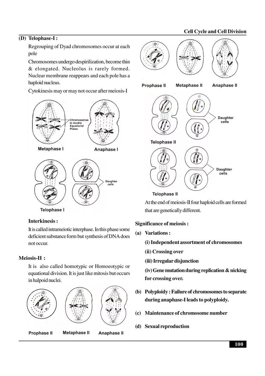 Cell Cycle and Cell Division Notes - Page 6